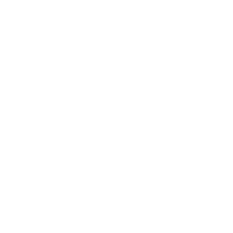Garz & Fricke Logo White